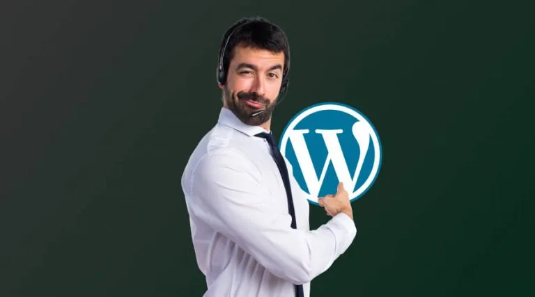 Поддержка сайта на WordPress
