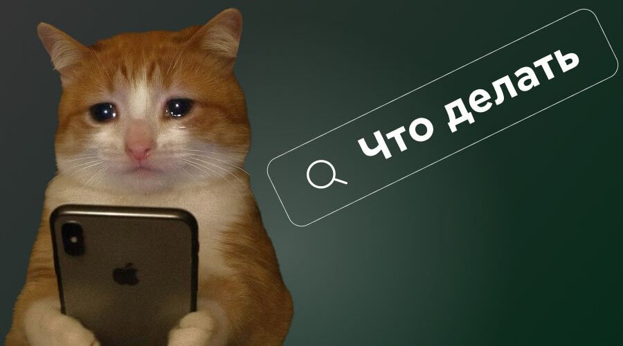 Критическая ошибка WordPress